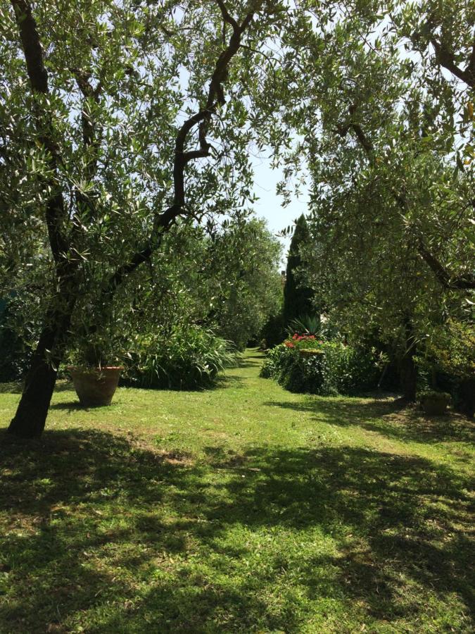 La Casa Dei Nonni Villa Larciano Kültér fotó